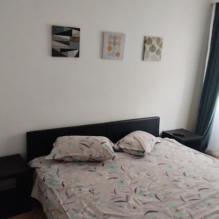 Apartmán Vero Apartament Central Rm Valcea Râmnicu Vâlcea Exteriér fotografie
