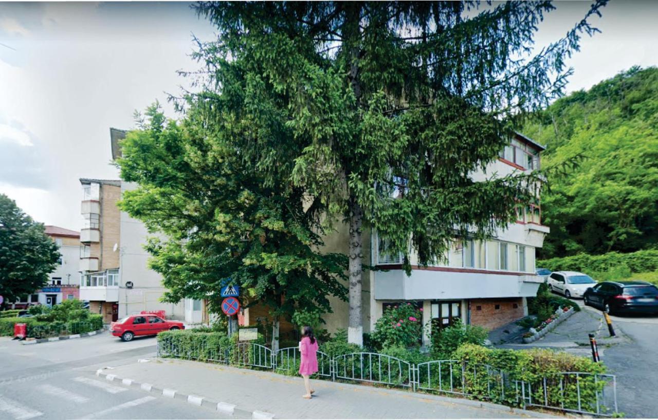 Apartmán Vero Apartament Central Rm Valcea Râmnicu Vâlcea Exteriér fotografie